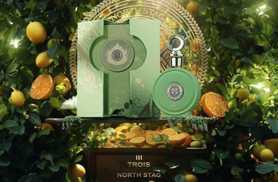 Paris Corner North Stag Trois III Expressions Eau de Parfum