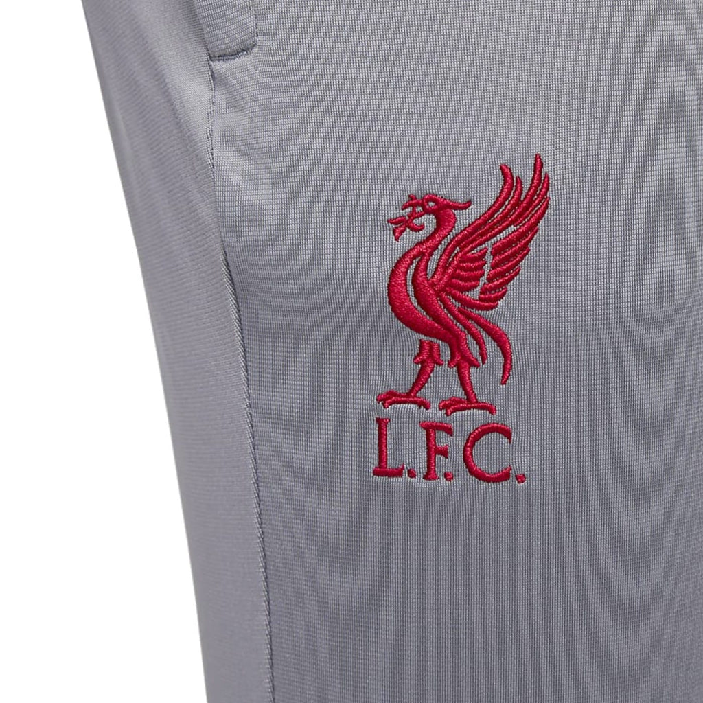 Liverpool FC grey training presentation hooded tracksuit 2023 - Nike-4