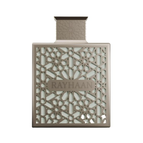 Rayhaan - Terra - Eau De Parfum - 100ml - Perfume Masculino